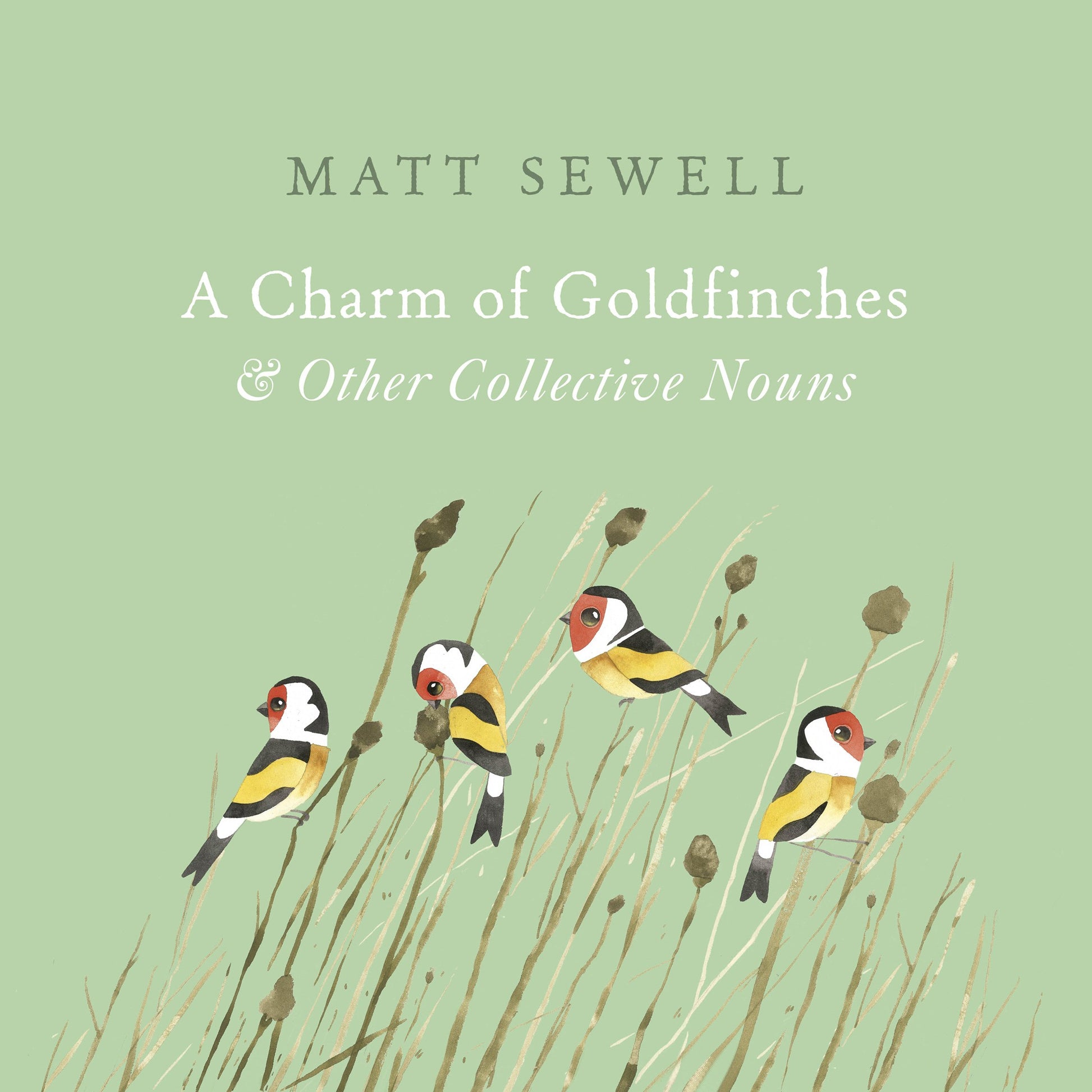 A Charm of Goldfinches and Other Collective Nouns by Matt Sewell (Author) book cover