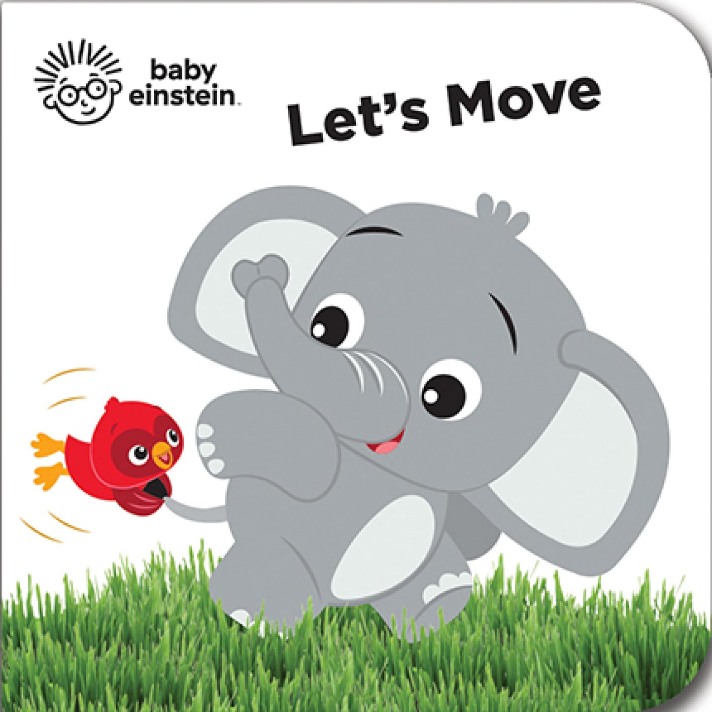 Baby Einstein - My First Library Board Book Block 12-Book Set - First Words, Alphabet, Numbers, and More! - PI Kids 