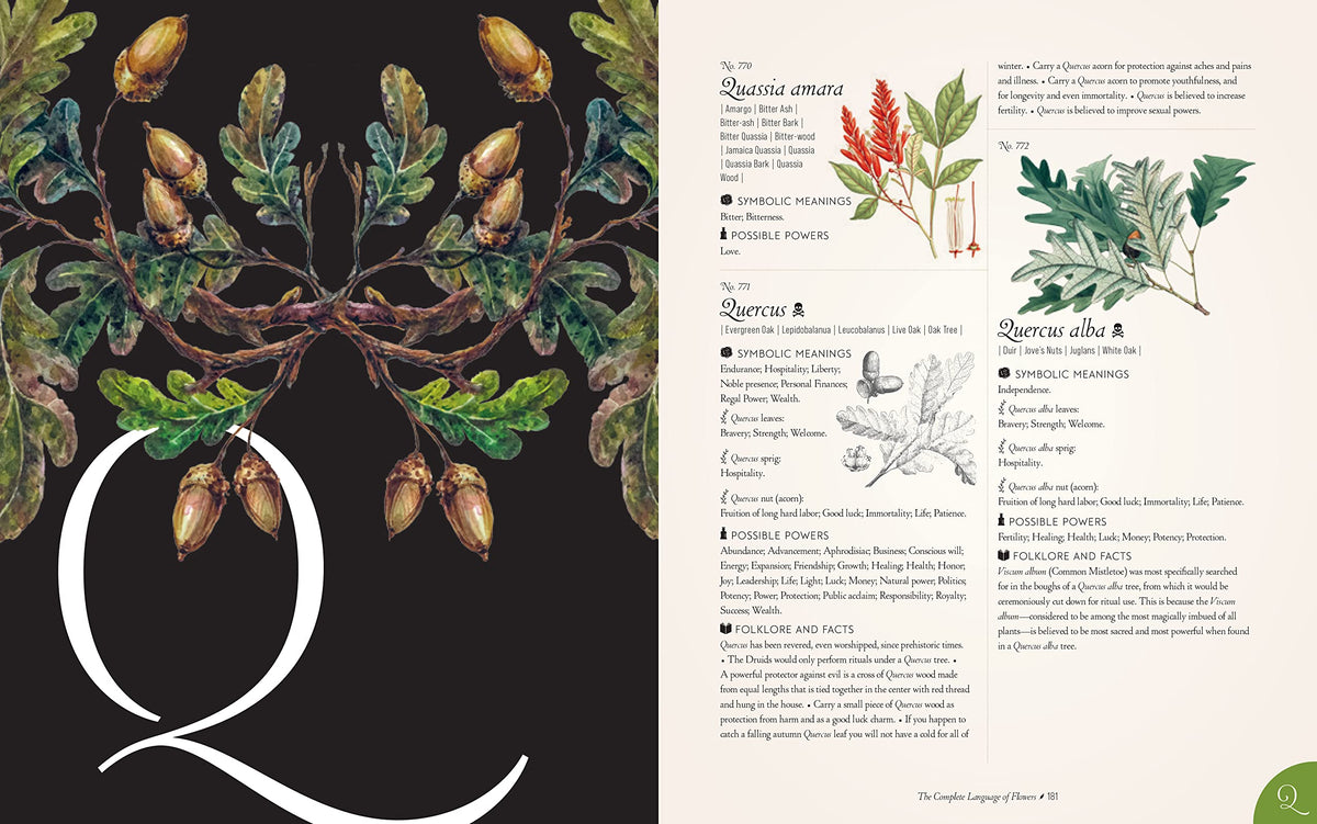 The Complete Language of Flowers