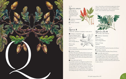 The Complete Language of Flowers