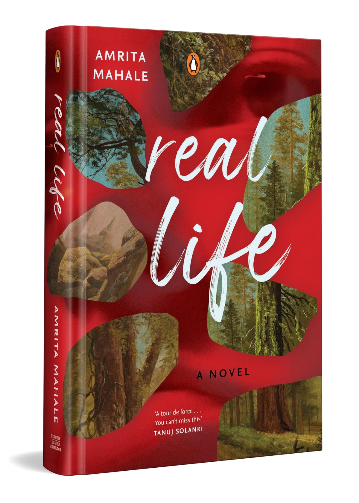 Real Life: A Haunting Literary Mystery Set In The Himalayas | A Story Of Obsession, Silence And Control