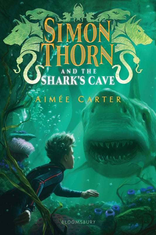 Simon Thorn and the Sharks Cave book cover