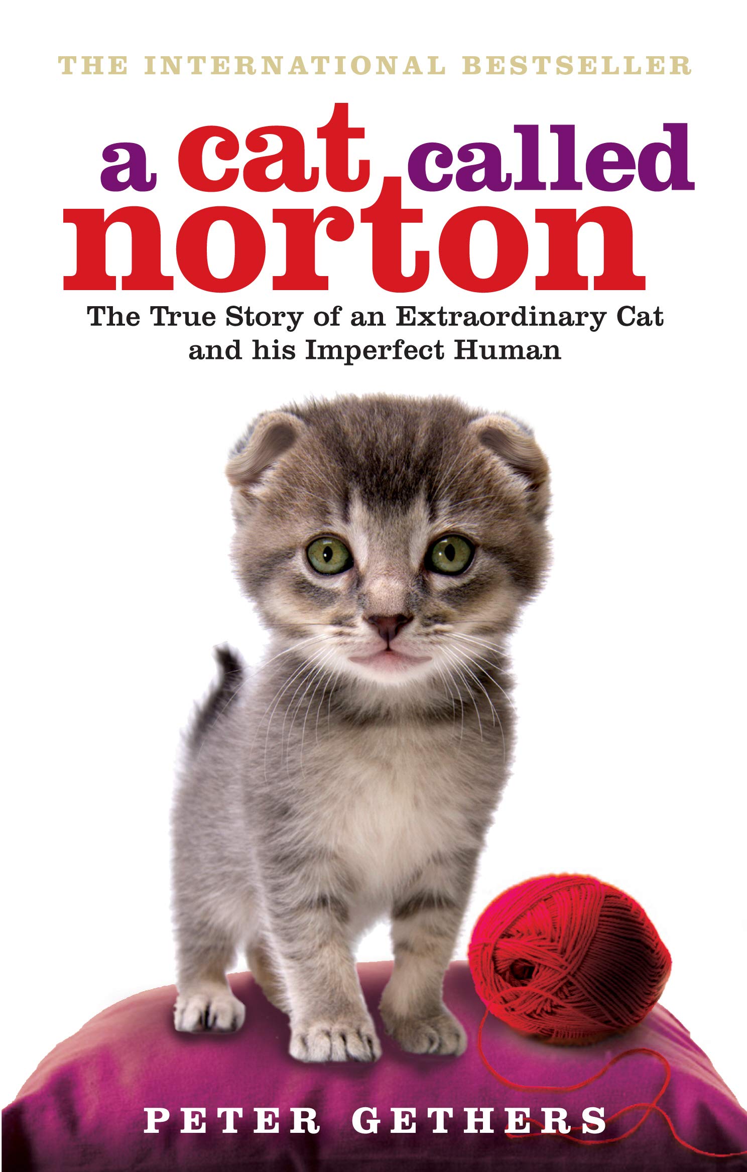 A Cat Called Norton by Peter Gethers book cover
