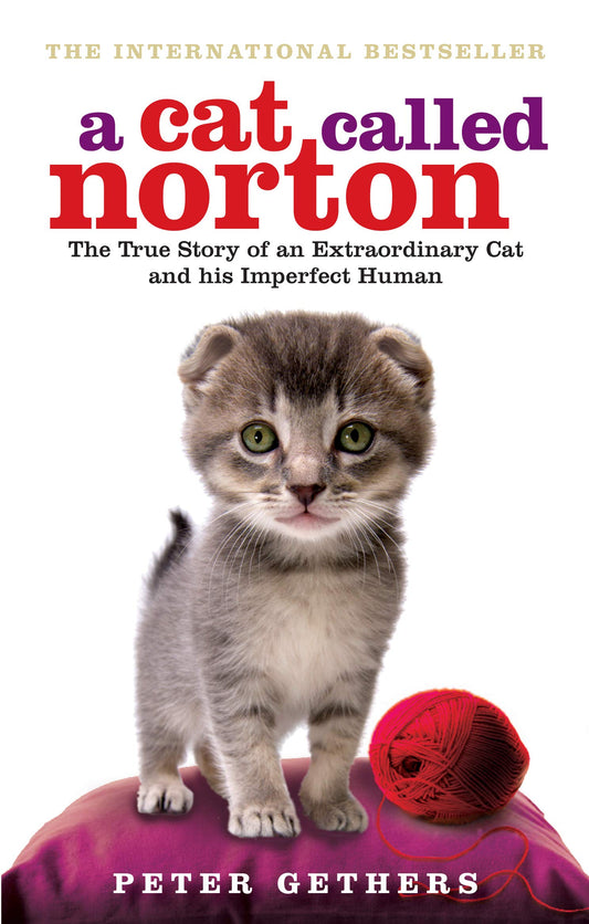 A Cat Called Norton by Peter Gethers book cover