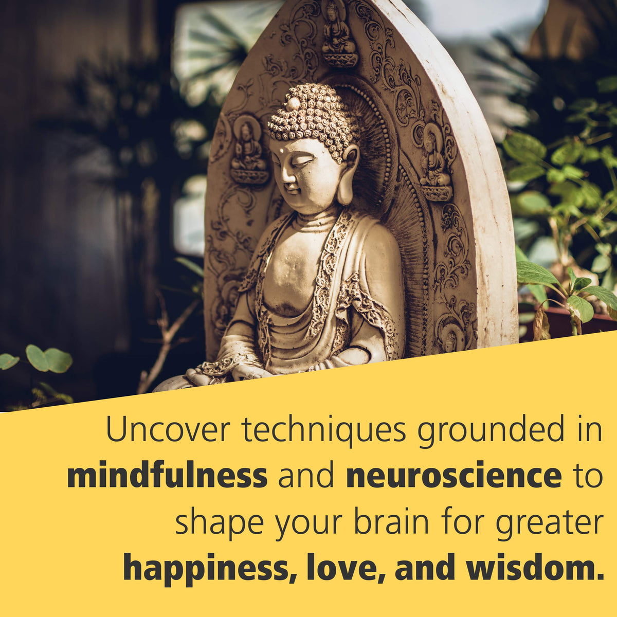 Buddha's Brain: The Practical Neuroscience of Happiness, Love & Wisdom