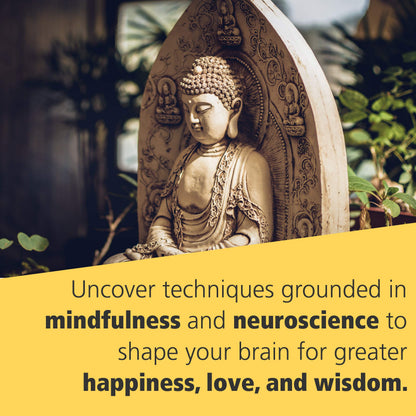 Buddha's Brain: The Practical Neuroscience of Happiness, Love & Wisdom