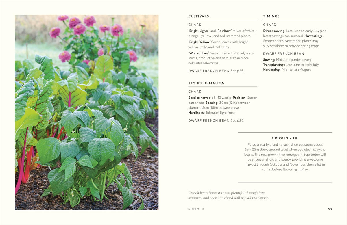 Grow Together: 50 Planting Partnerships to Boost Your Harvests