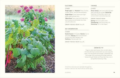 Grow Together: 50 Planting Partnerships to Boost Your Harvests