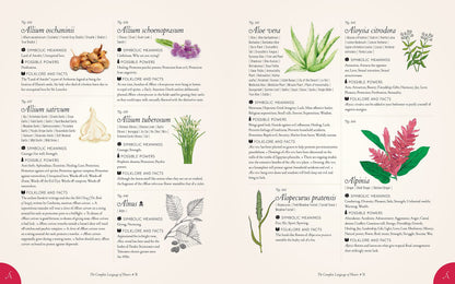 The Complete Language of Flowers