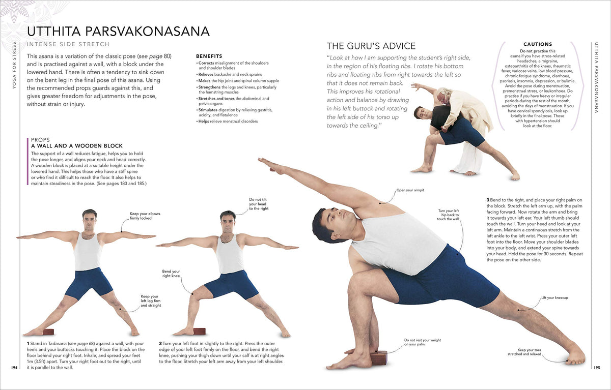 B.K.S. Iyengar Yoga The Path to Holistic Health: The Definitive Step-by-step Guide