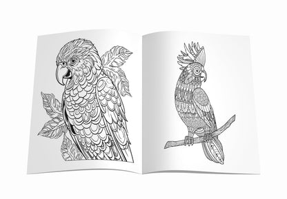 Mandala Birds Coloring Book for Kids | 30 Creative Bird Mandala Designs to Enhance Art Coloring, Drawing & Develop Art Skills | High Quality Premium Paper | Perfect Gift for Children & Teens