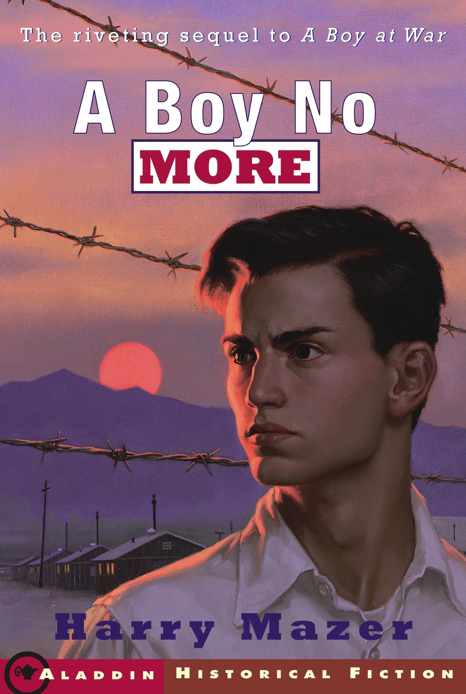 A Boy No More book cover
