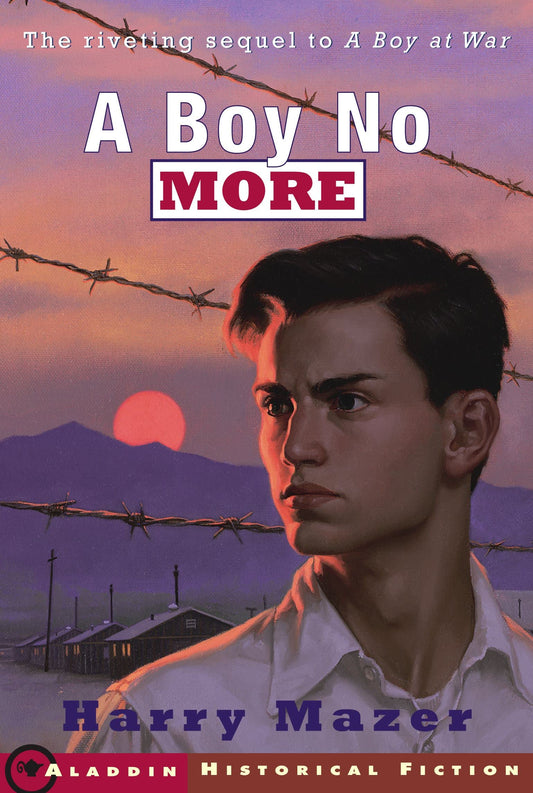 A Boy No More book cover