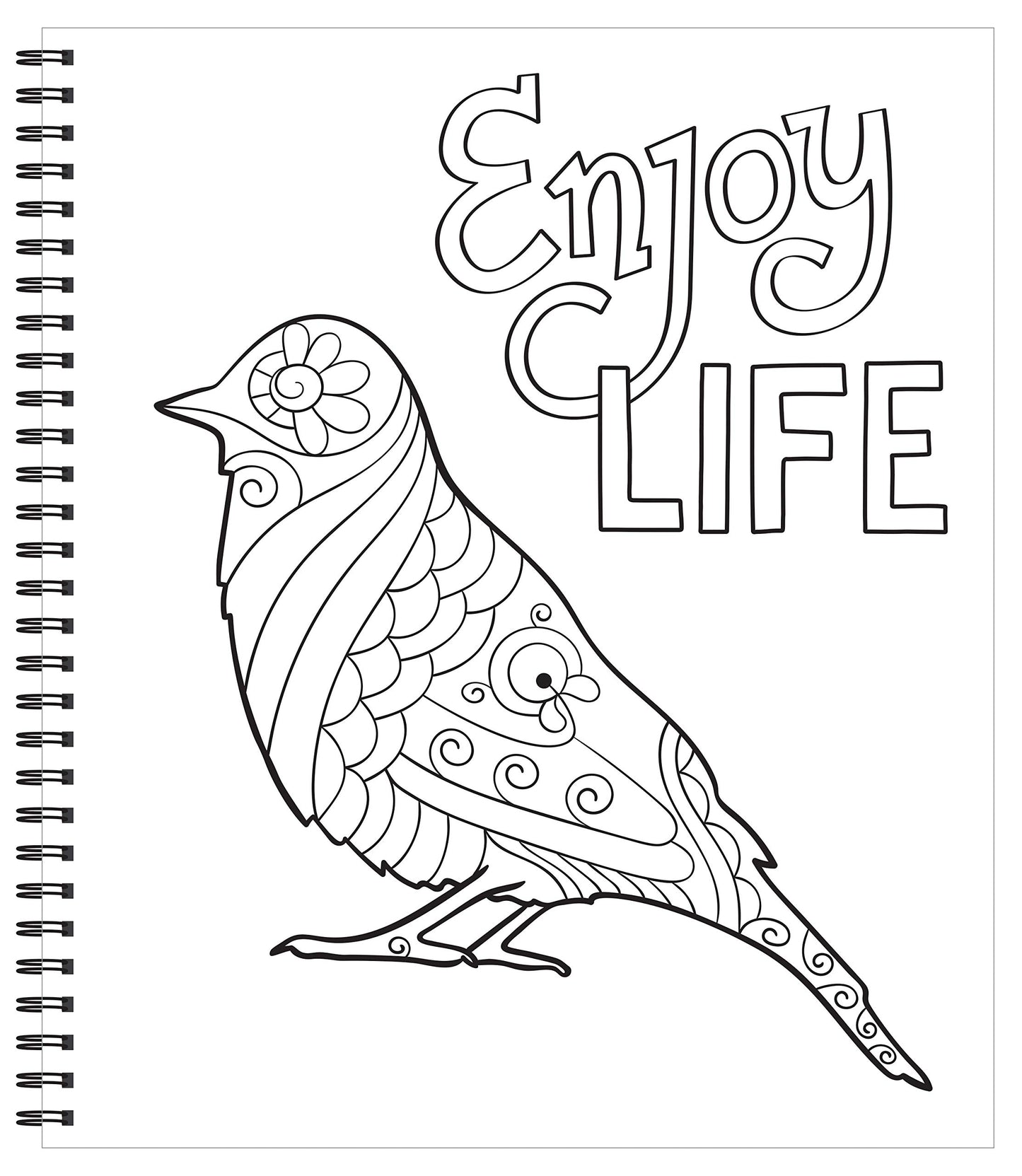 Large Print Easy Color & Frame - Calm (Stress Free Coloring Book)