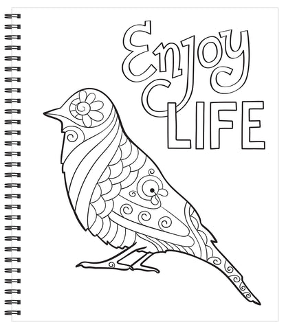 Large Print Easy Color & Frame - Calm (Stress Free Coloring Book)