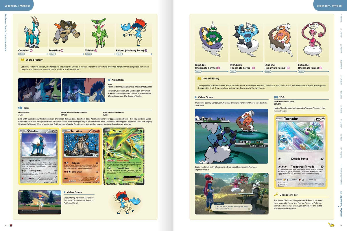 Pokémon Deluxe Character Guide (Pokemon Pikachu Press)