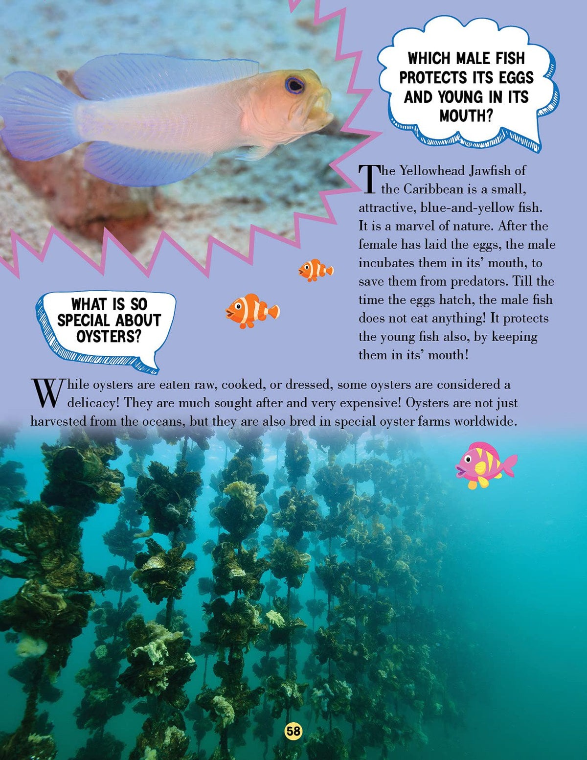 Animal World Children Encyclopedia for Kids Age 5–15 Years | Illustrated Animal Encyclopedia with Fun Facts, Trivia Questions & Answers | Learn About Wildlife, Sea Creatures, Birds, Mammals, Insects, Reptiles & Amazing Animal Kingdom Discoveries