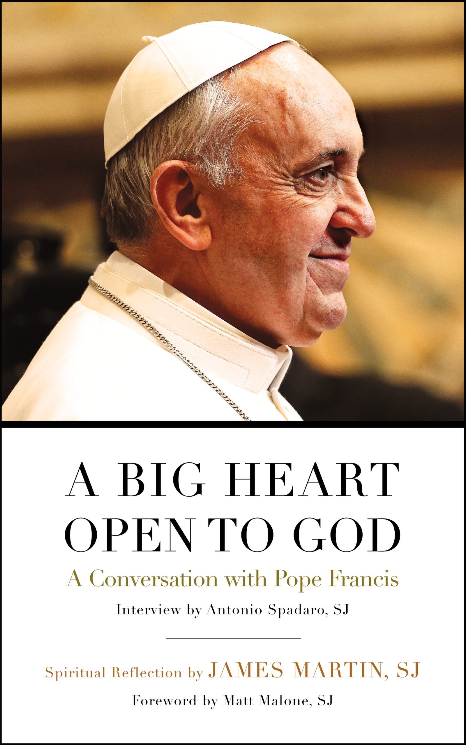 A Big Heart Open to God: A Conversation with Pope Francis book cover