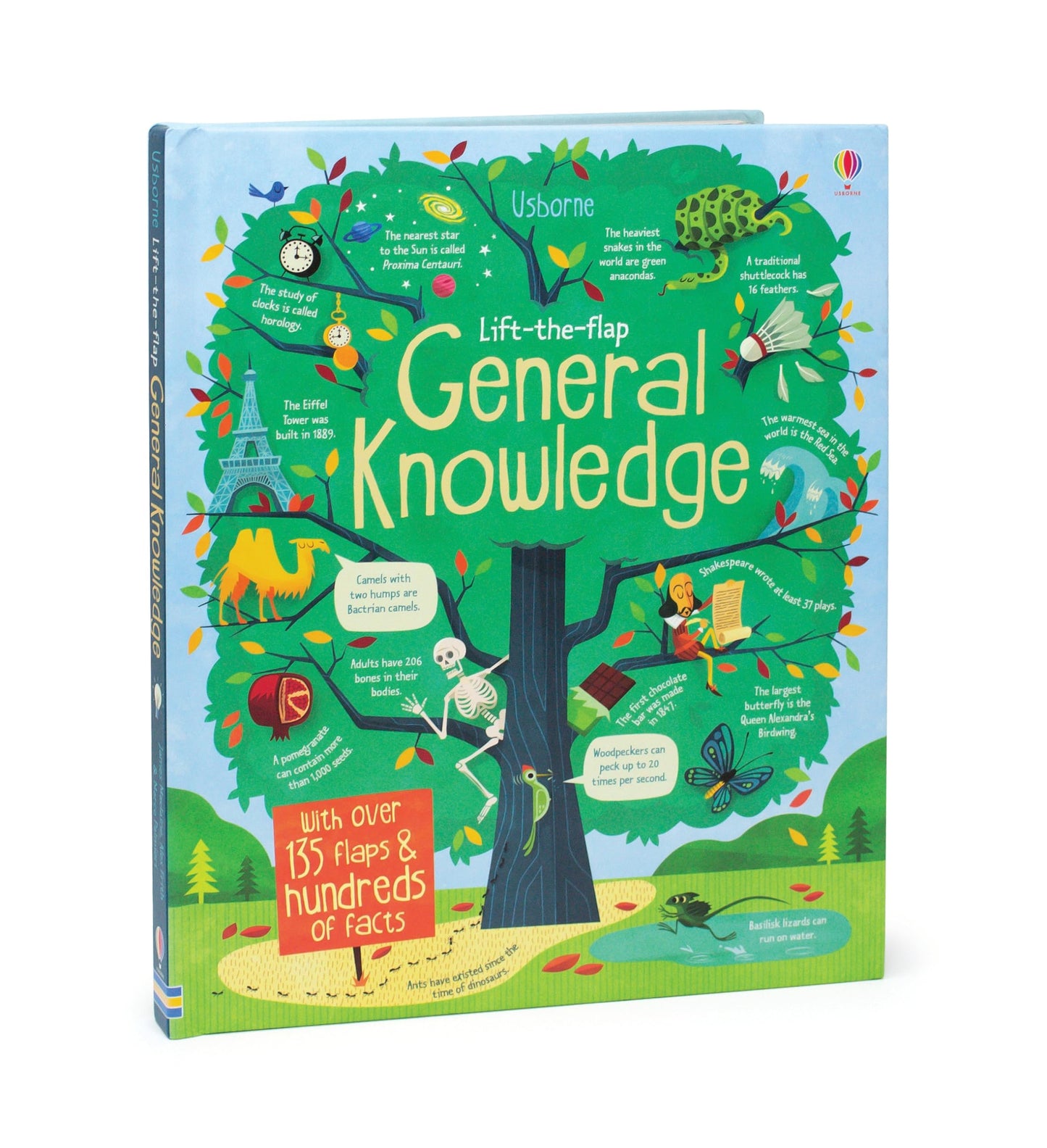 Lift The Flap General Knowledge (See Inside)