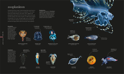 The Science of the Ocean: The Secrets of the Seas Revealed