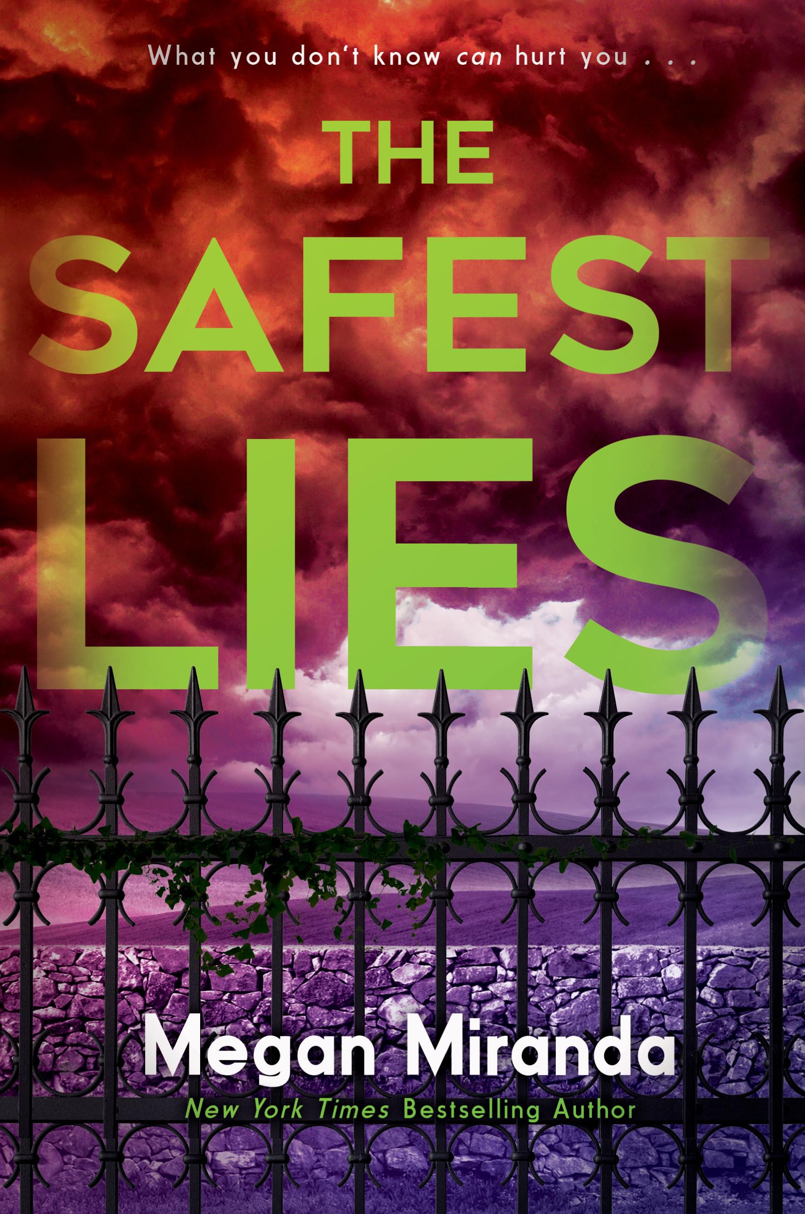 The Safest Lies book cover