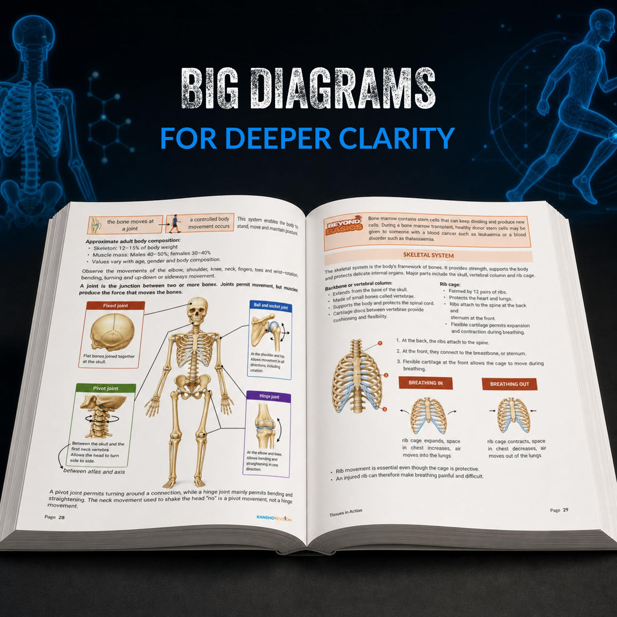 1 O’ Clock Class 9 Science Revision Book | Based on New NCERT Grade 9 Science Syllabus 2026-27 | Audiobooks on App + 3D Interactive Videos via QR | ... Graphs, Experiments & Beyond Basics