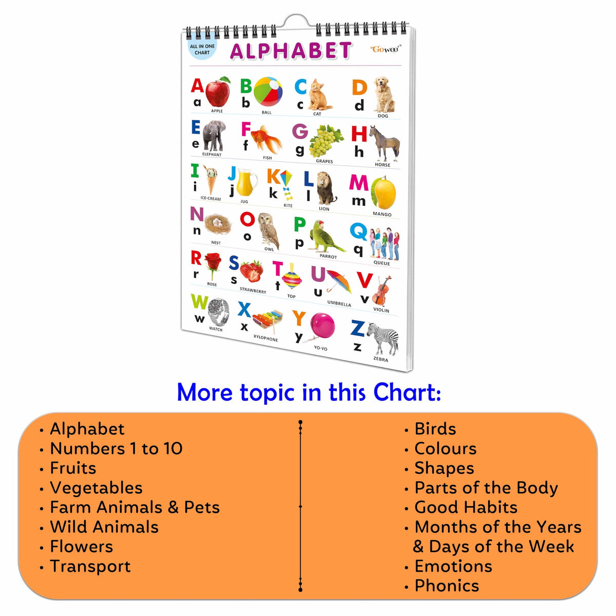 My First ALL IN ONE SPIRAL CHART : With 16 Topics ( Big Fonts and Realistic Pictures) | Gift Set For Kids