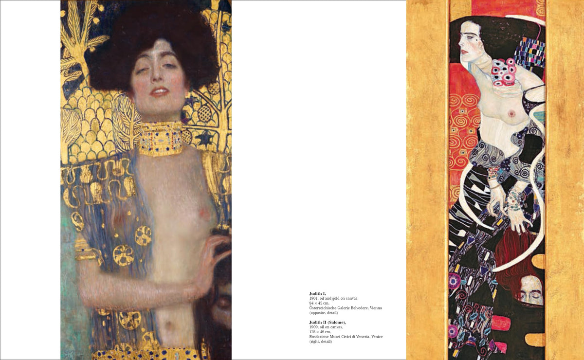 Klimt: The Bigger Picture