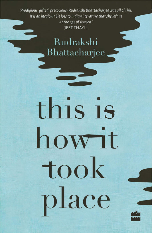 This Is How It Took Place: Stories book cover