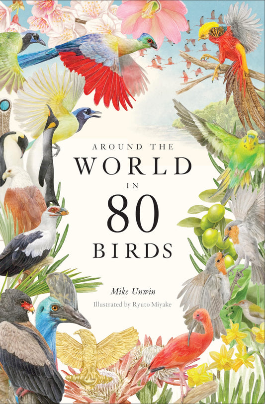 Around the World in 80 Birds book cover