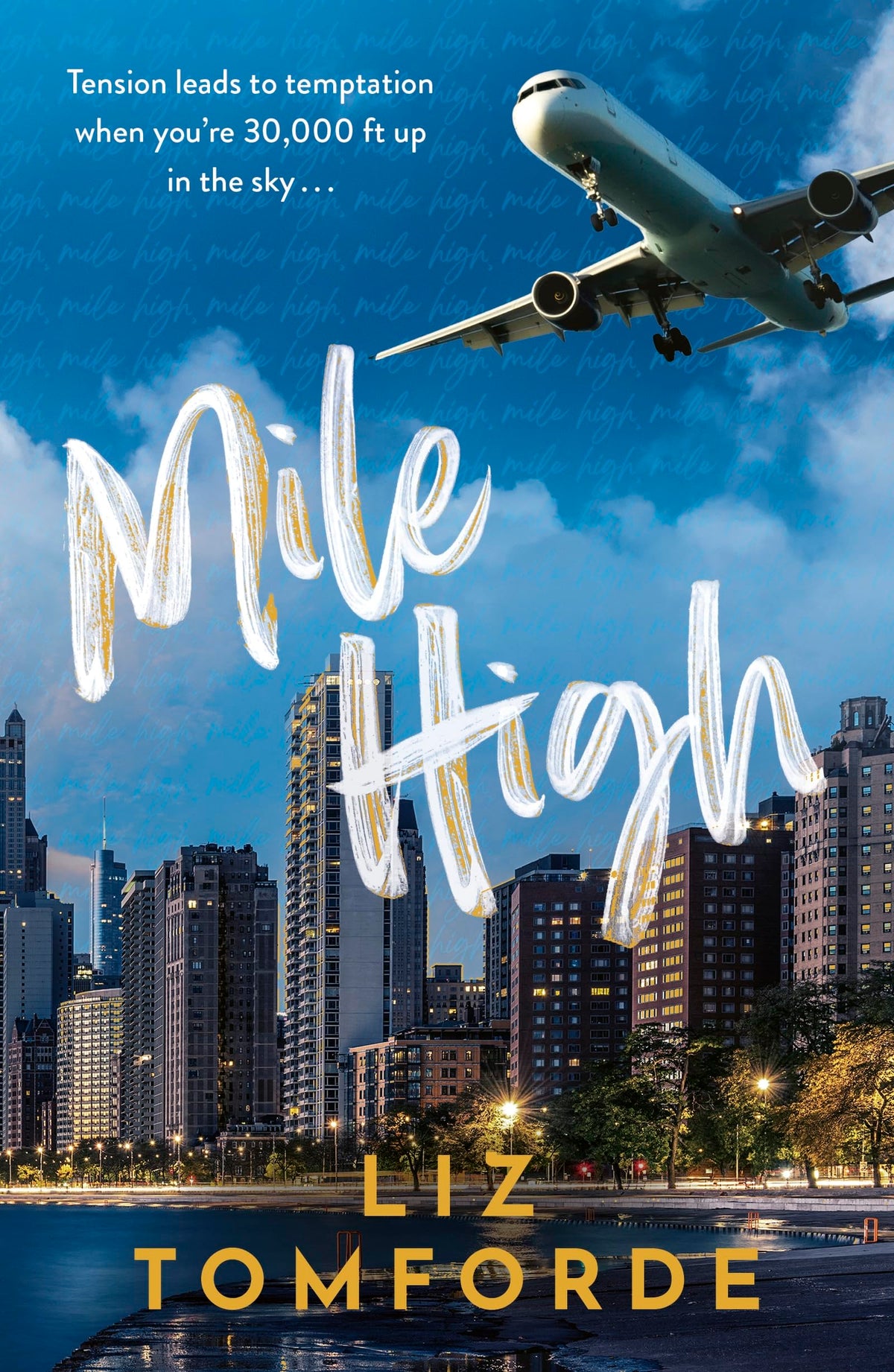 Mile High: The unputdownable first book in TikTok sensation, the Windy City series, featuring an ice hockey enemies-to-lovers sports romance