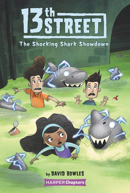 13Th Street #4: The Shocking Shark Showdown book cover