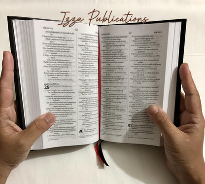 NIV Holy Bible Compact New International Version