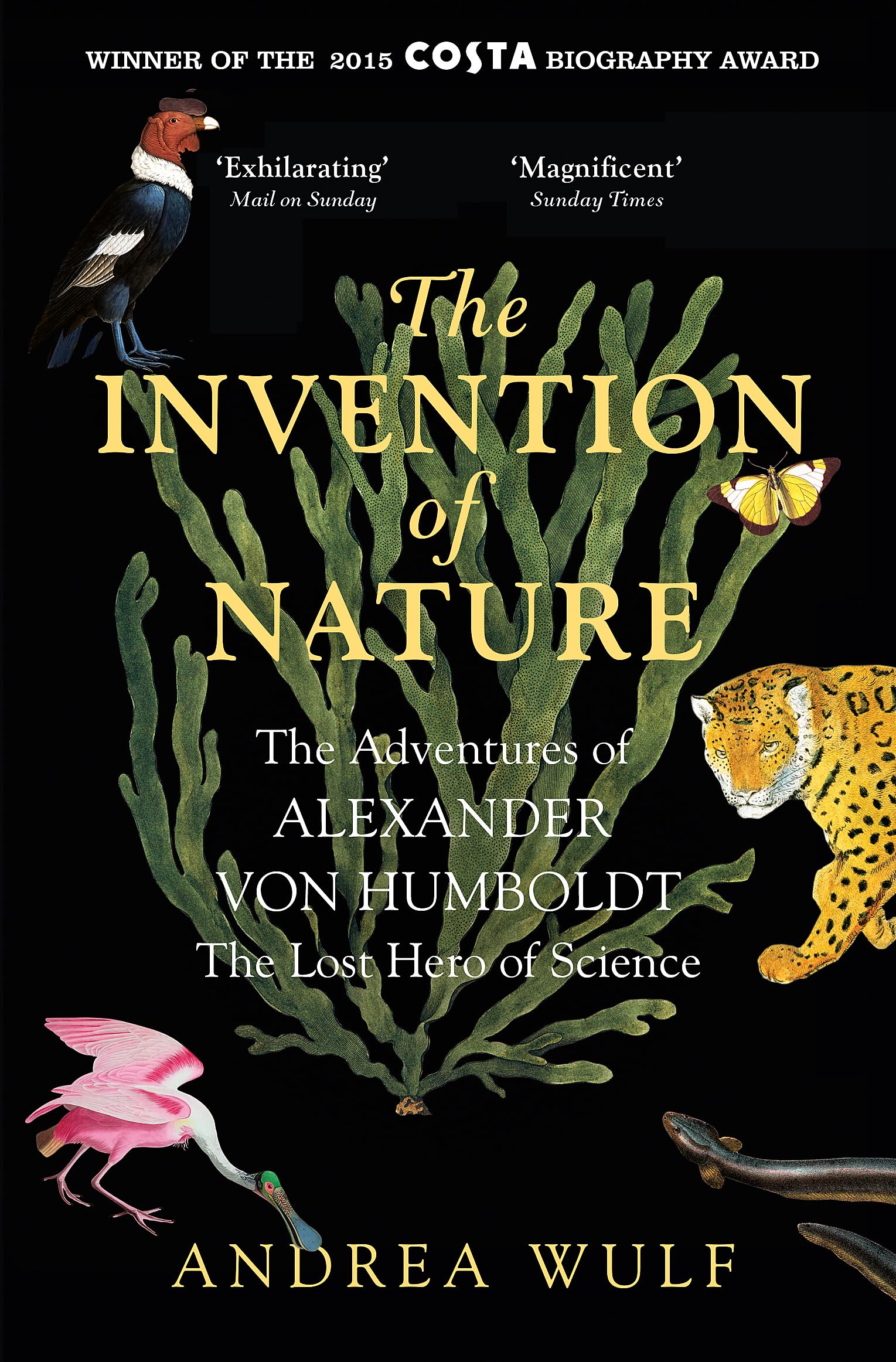 The Invention of Nature book cover