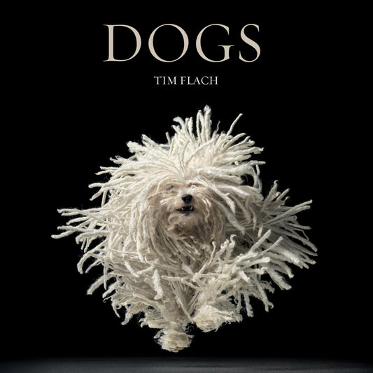 Dogs: Figurations of Racial Blackness in the Construction of an Aesthetic