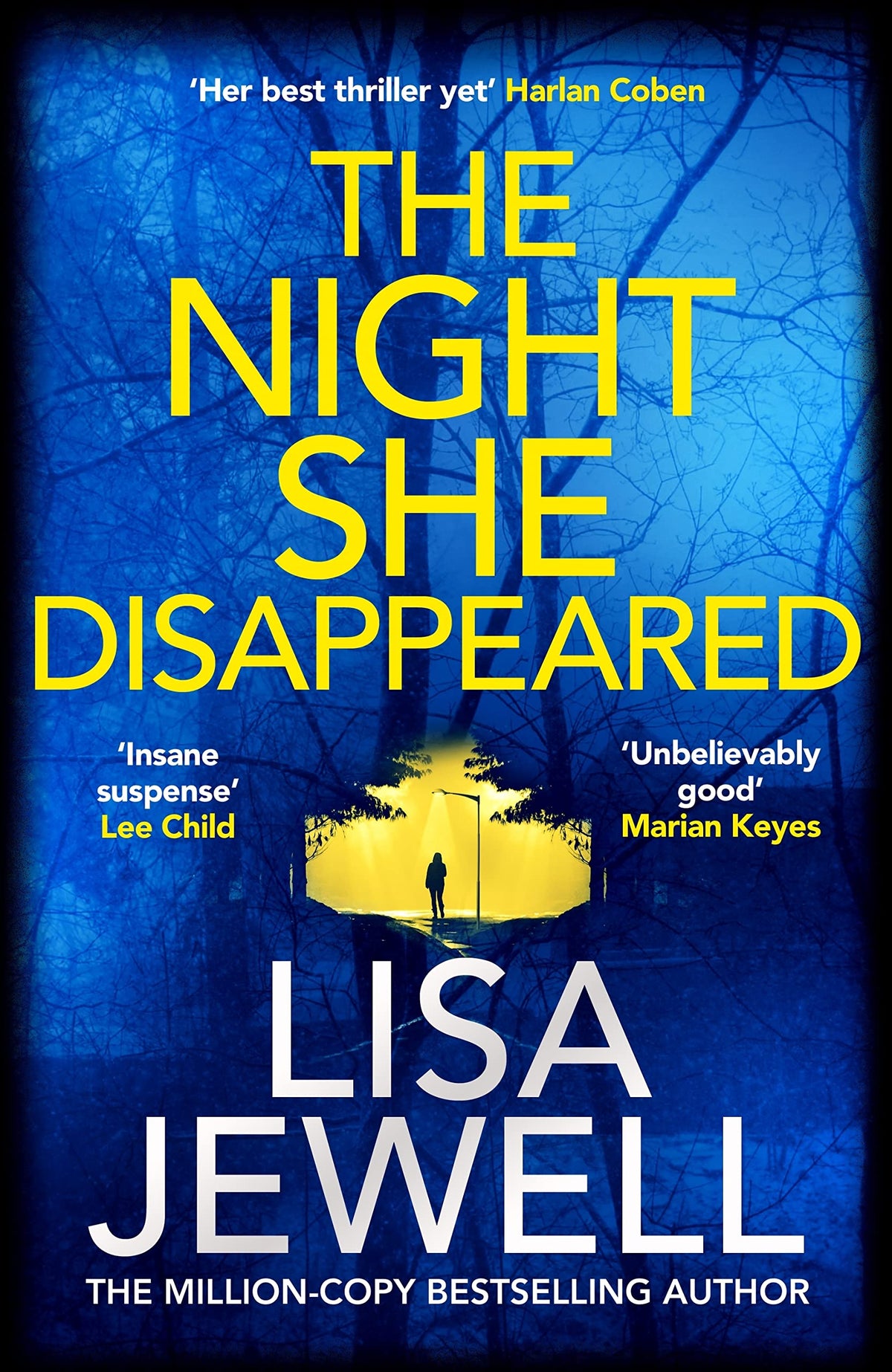 The Night She Disappeared (Lead Title) book cover