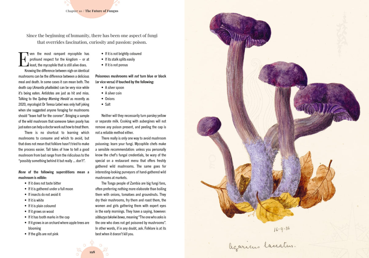 Kew - The Magic of Mushrooms: Fungi in folklore, superstition and traditional medicine (Royal Botanic Gardens, Kew)