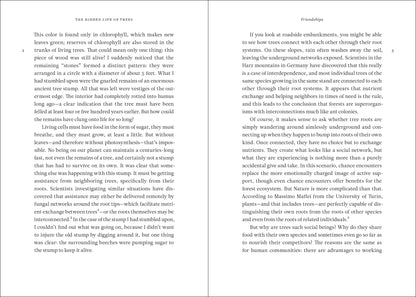 The Hidden Life of Trees: What They Feel, How They Communicate-- Discoveries from a Secret World: 1 (The Mysteries of Nature, 1)