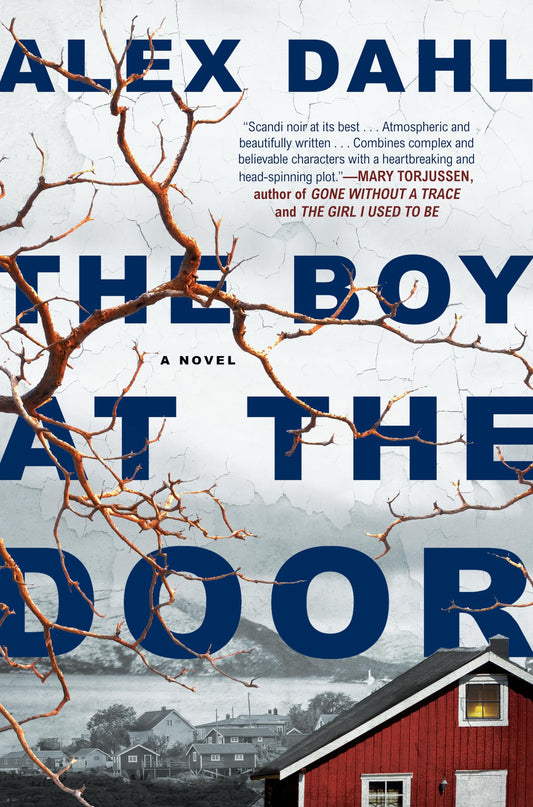 The Boy at the Door book cover