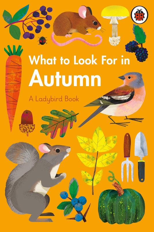 What to Look For in Autumn book cover