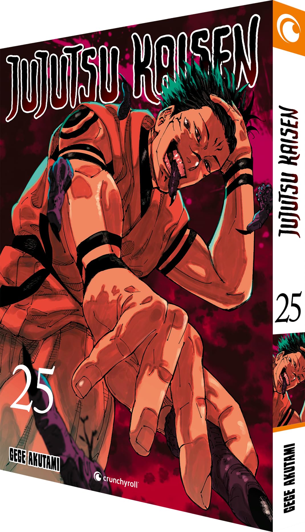 Jujutsu Kaisen – Band 25