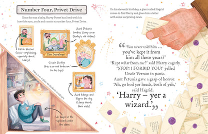 Harry Potter: The must-have Christmas stocking filler for Potter fans! (Pocket Potters – Little Guides to the HARRY POTTER Stories)