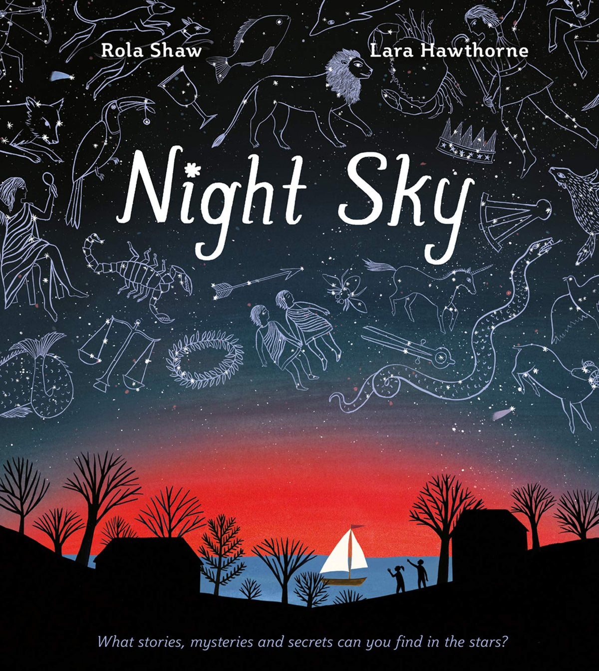 NIGHT SKY book cover