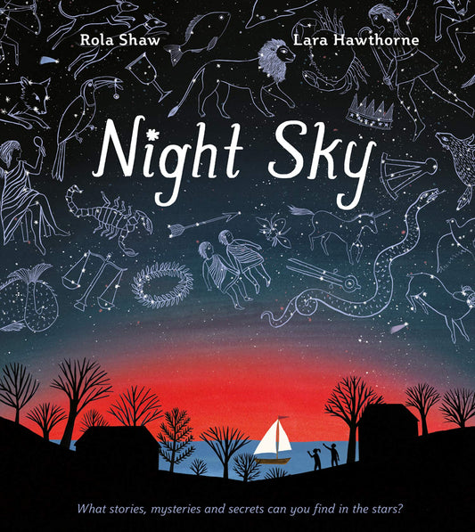 NIGHT SKY book cover