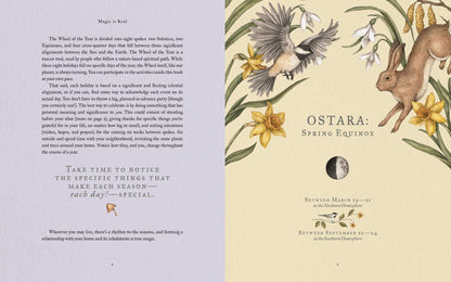The Wheel of the Year: An Illustrated Guide to Nature's Rhythms