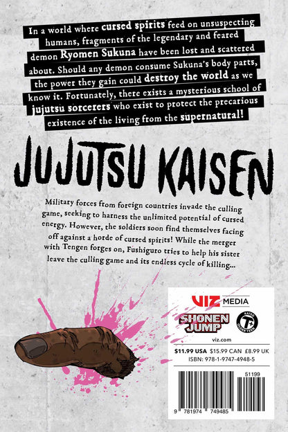 Jujutsu Kaisen 24