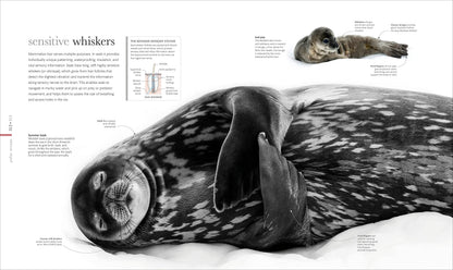 The Science of the Ocean: The Secrets of the Seas Revealed
