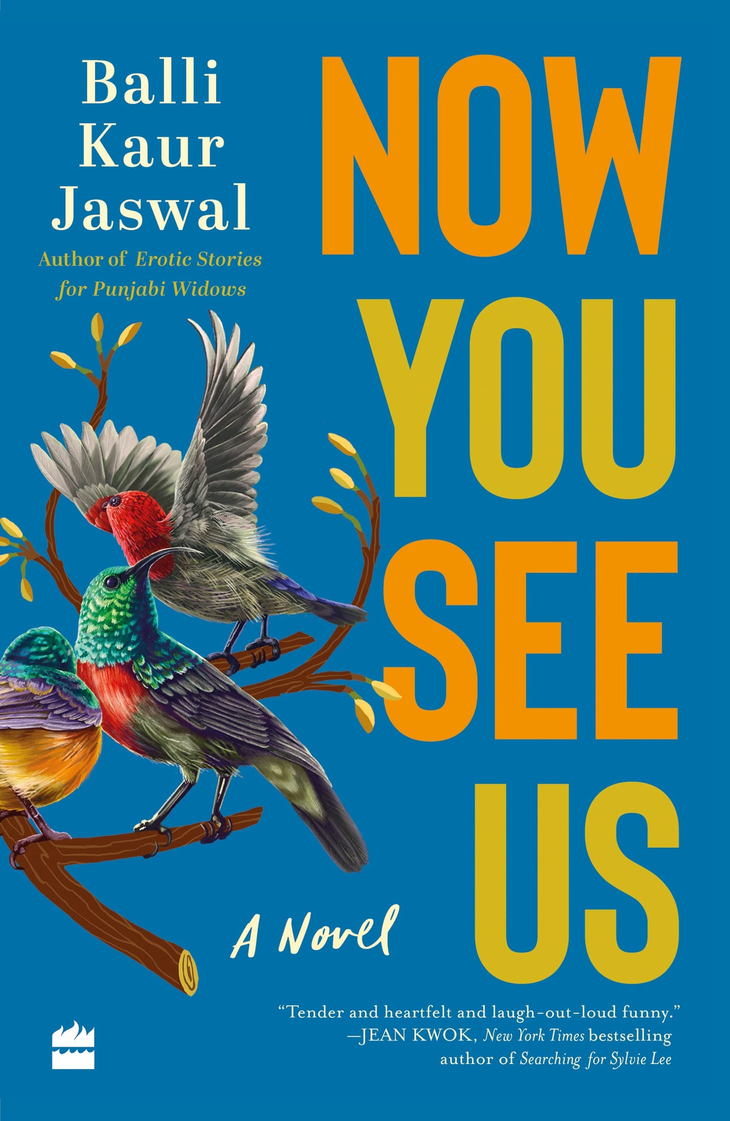 Now You See Us : The Novel book cover
