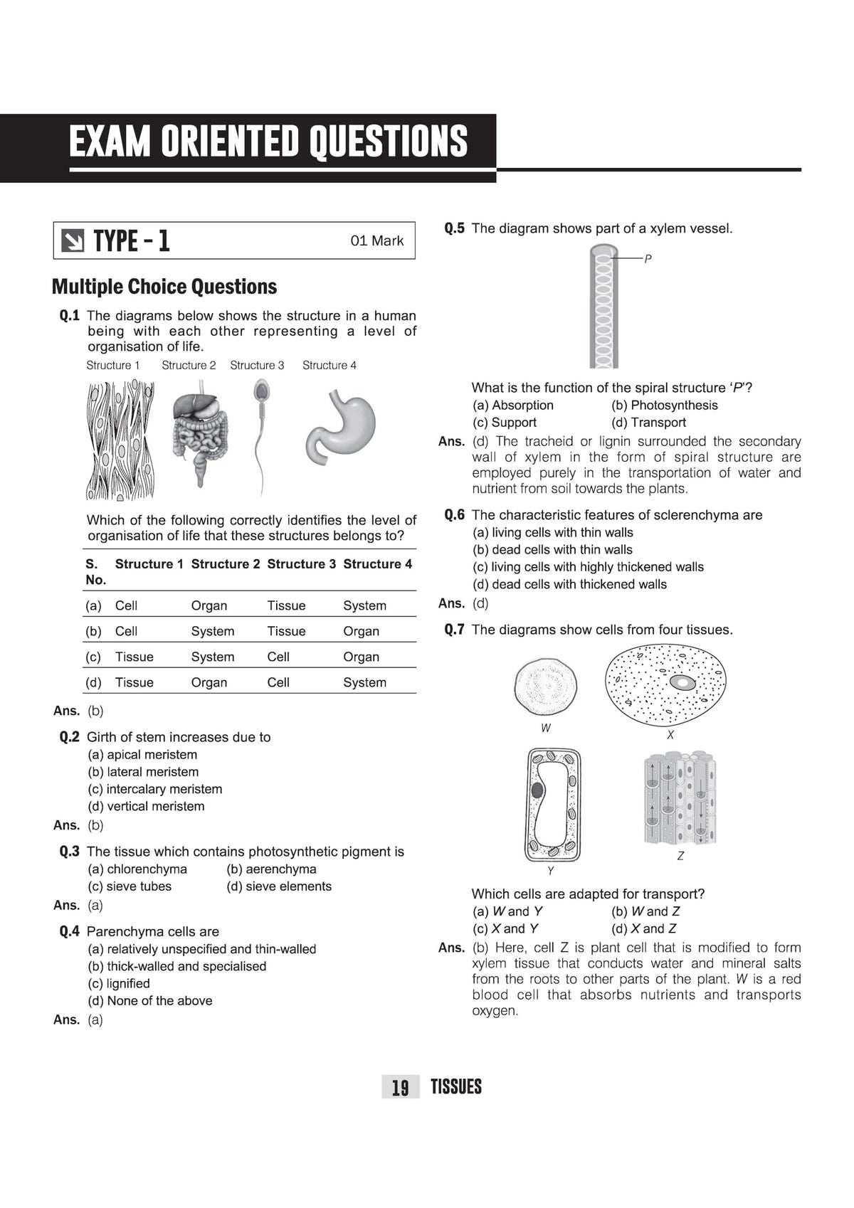 Arihant ICSE Biology Class 9 Exam 2026-27 | Quick Theory, Exam Pattern Questions & Sample Papers | As per Latest ICSE Syllabus | Que Bee 2nd Edition 2027