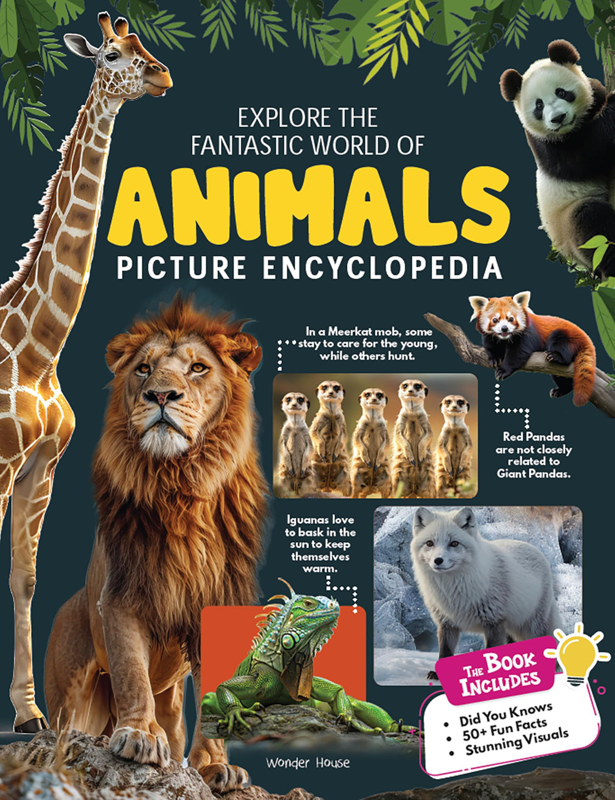 Explore Fantastic World of Animals Picture Encyclopedia